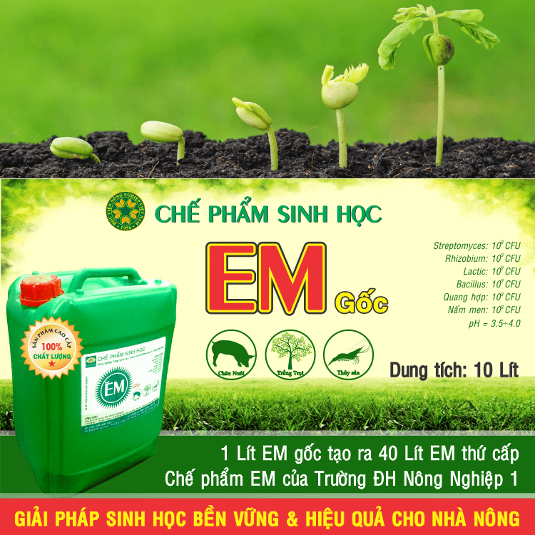 Chế phẩm EM dùng trong xử lý môi trường (MTR040)